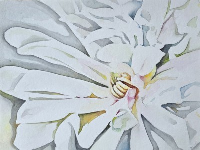Aquarellbild einer abstrakter Magnolienblüte in kräftigen Rosa- und Grüntönen